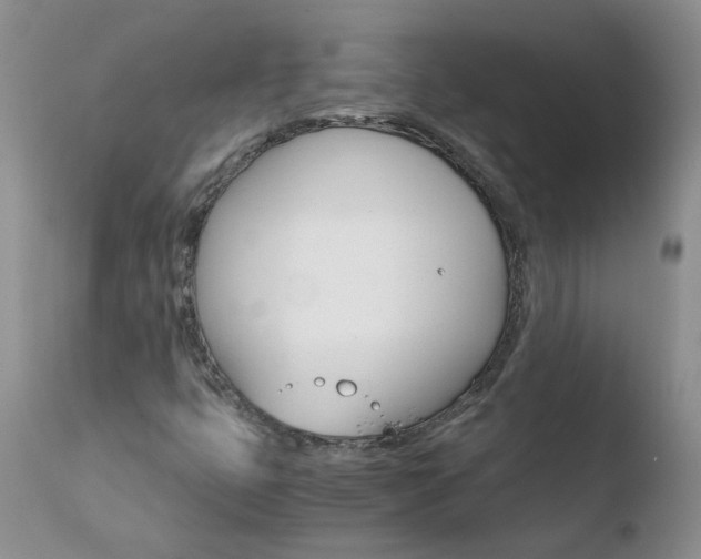 X0000110771399200906150943