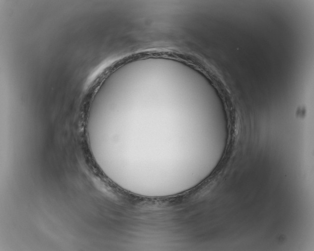 X0000110771400200906150943