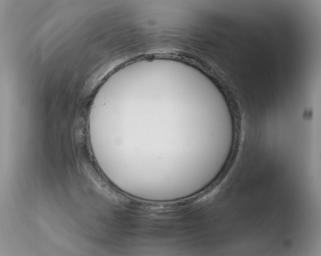 X0000110771401200906150943