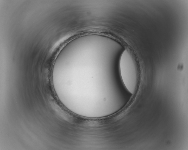 X0000110771402200906150943
