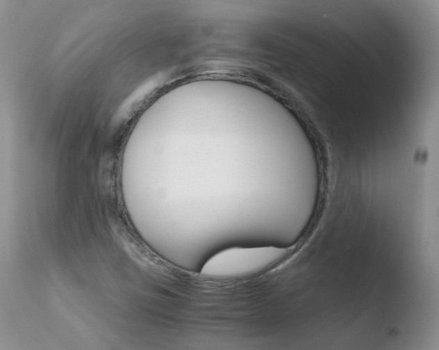 X0000110771403200906150943