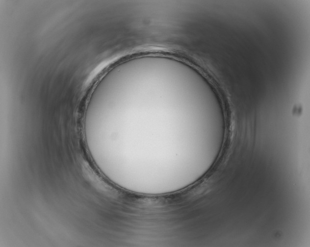 X0000110771404200906150943