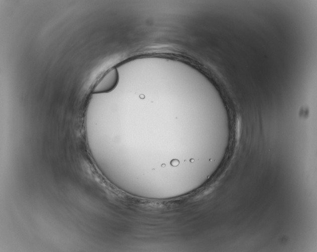 X0000110771405200906150943