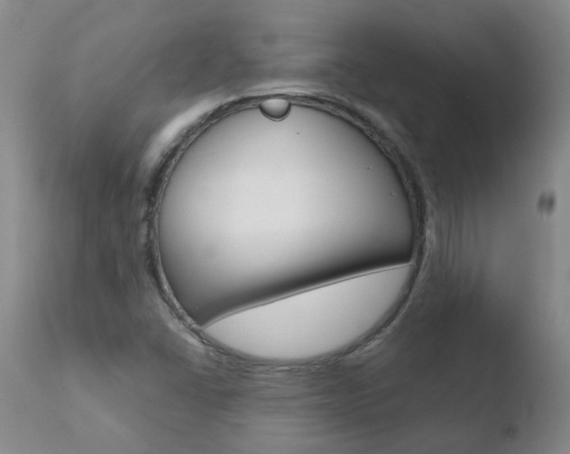 X0000110771406200906150943