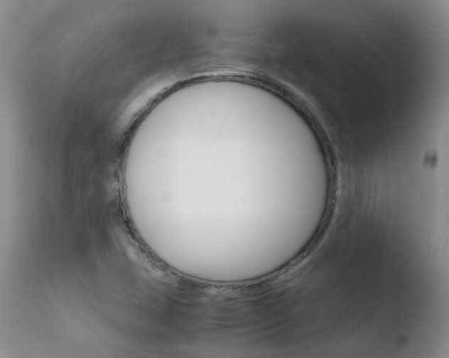 X0000110771407200906150943