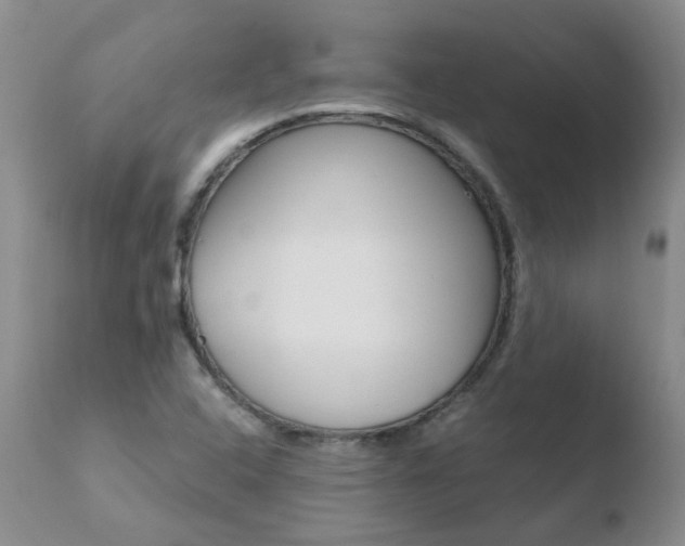 X0000110771408200906150943