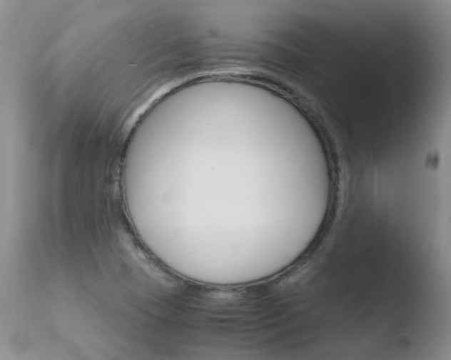 X0000110771409200906150943