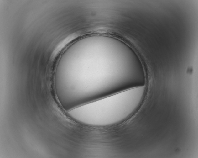 X0000110771410200906150943