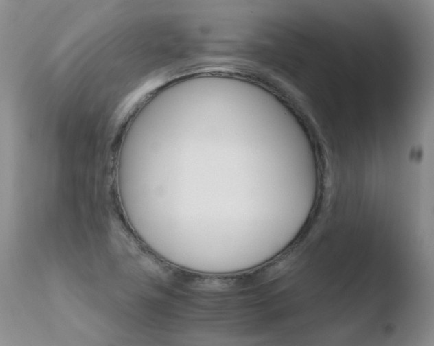 X0000110771411200906150943