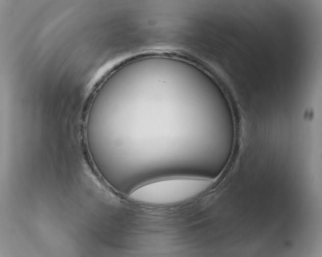 X0000110771412200906150943