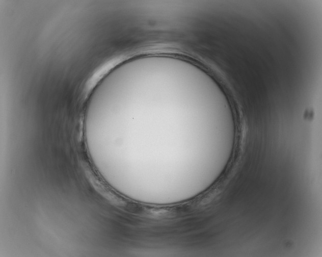 X0000110771413200906150943