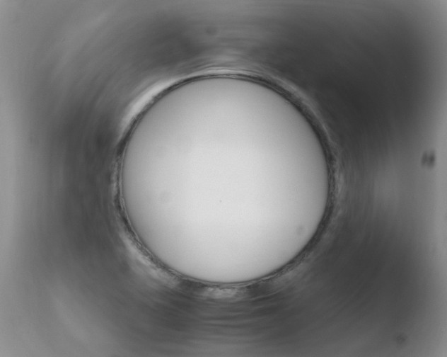 X0000110771415200906150943