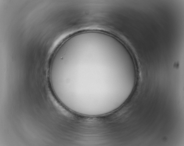 X0000110771416200906150943