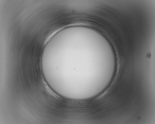 X0000110771417200906150943
