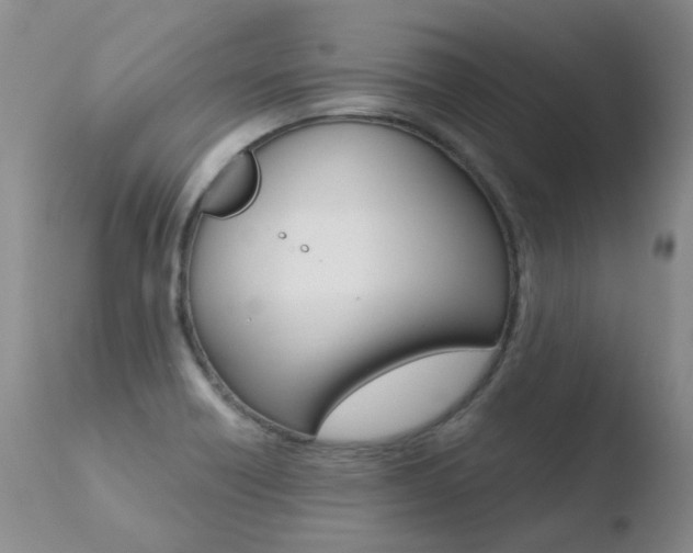 X0000110771418200906150943