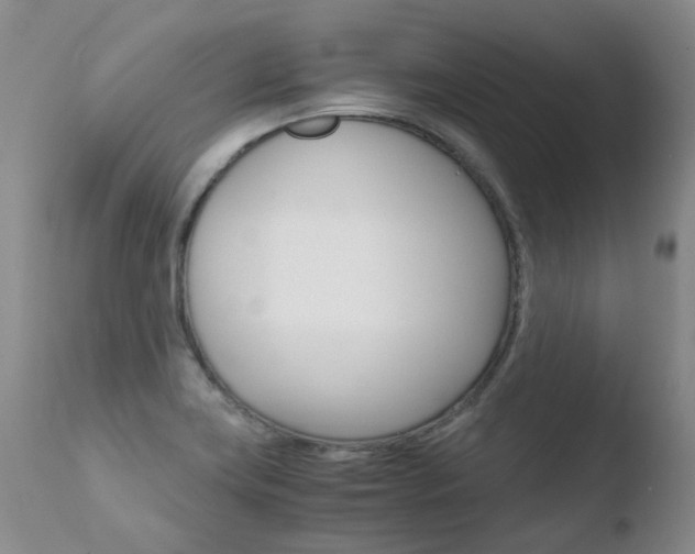 X0000110771419200906150943