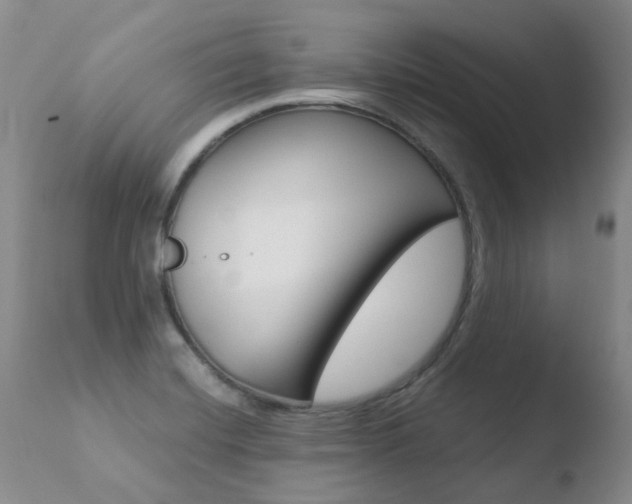 X0000110771420200906150943
