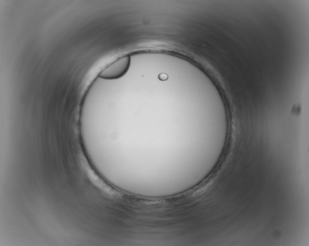 X0000110771421200906150943