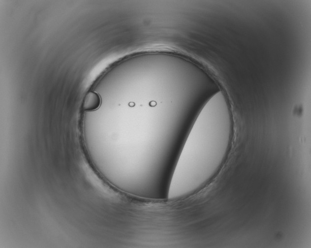 X0000110771422200906150943