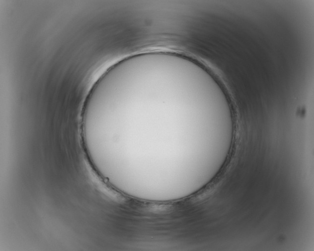 X0000110771423200906150943