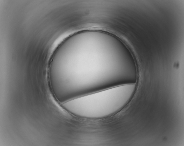 X0000110771424200906150943