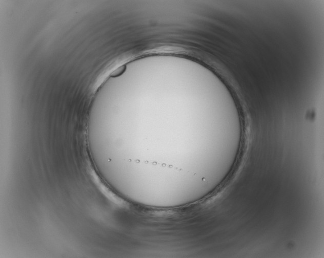 X0000110771425200906150943