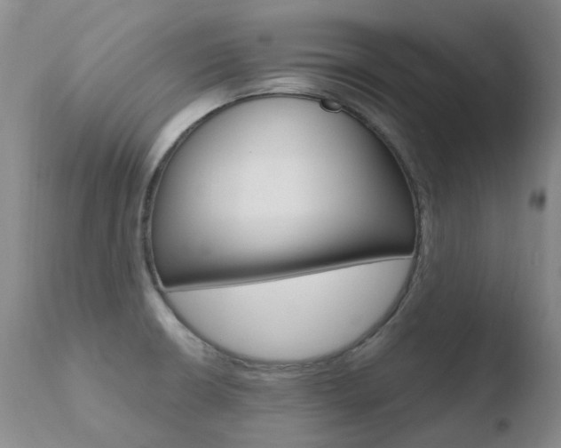 X0000110771426200906150943