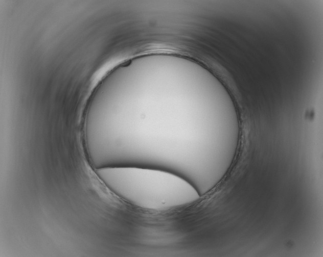 X0000110771427200906150943