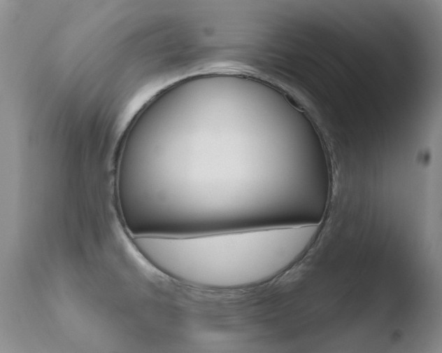 X0000110771430200906150943