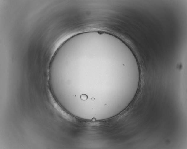 X0000110771431200906150943