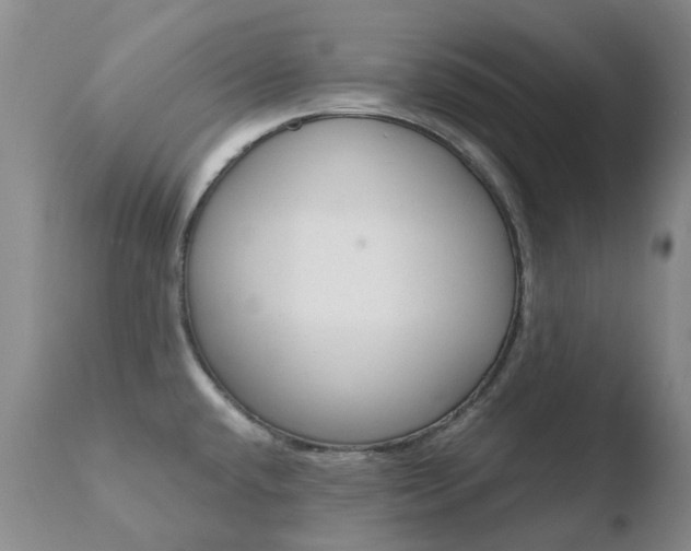 X0000110771432200906150943