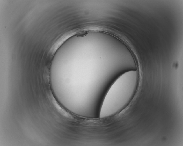 X0000110771433200906150943