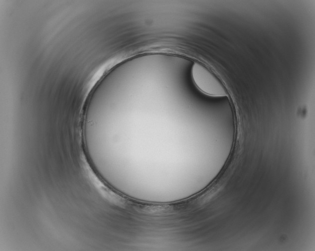 X0000110771434200906150943