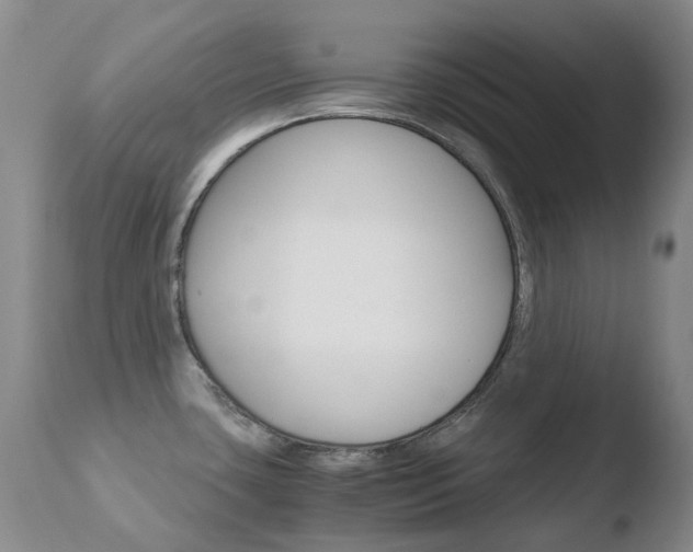 X0000110771435200906150943