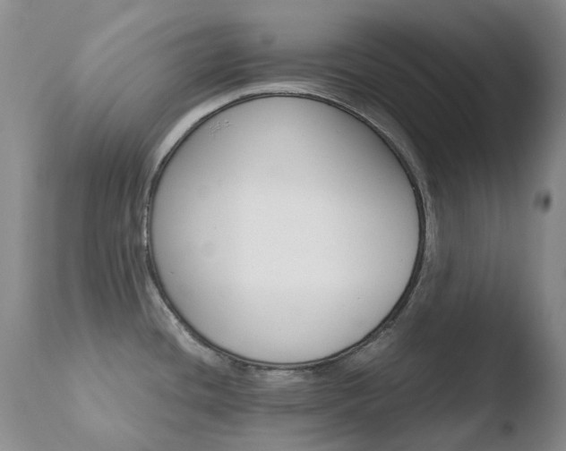 X0000110771436200906150943