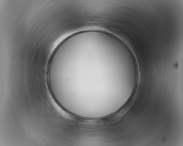 X0000110771438200906150943