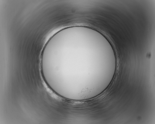 X0000110771439200906150943
