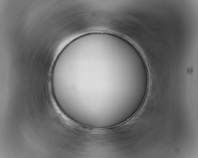 X0000110771440200906150943