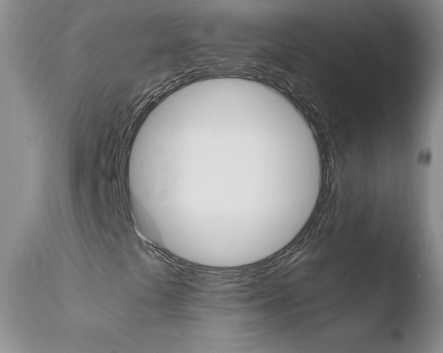 X0000110771441200906150943