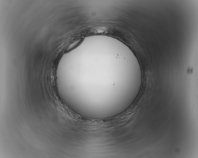 X0000110771442200906150943