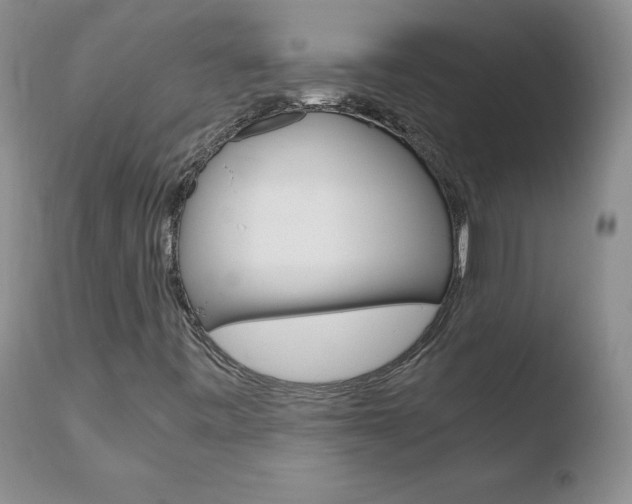 X0000110771443200906150942