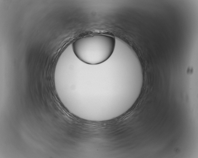 X0000110771444200906150942