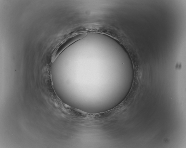 X0000110771445200906150942