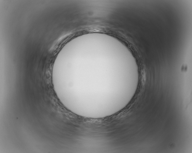 X0000110771446200906150942