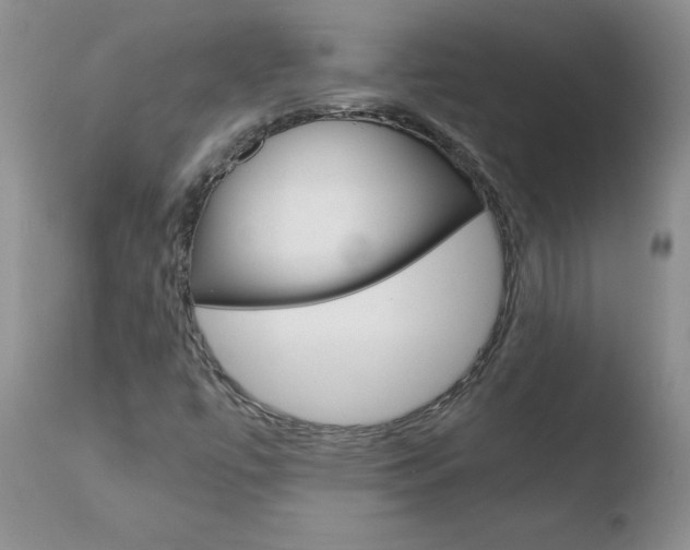 X0000110771447200906150942