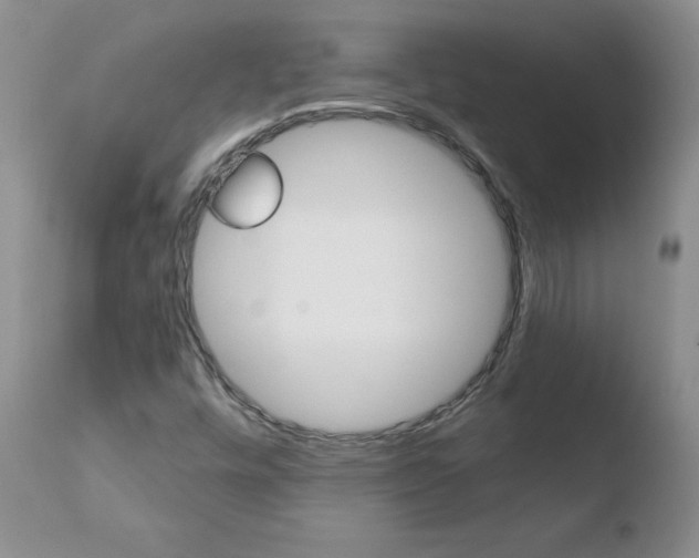 X0000110771448200906150942