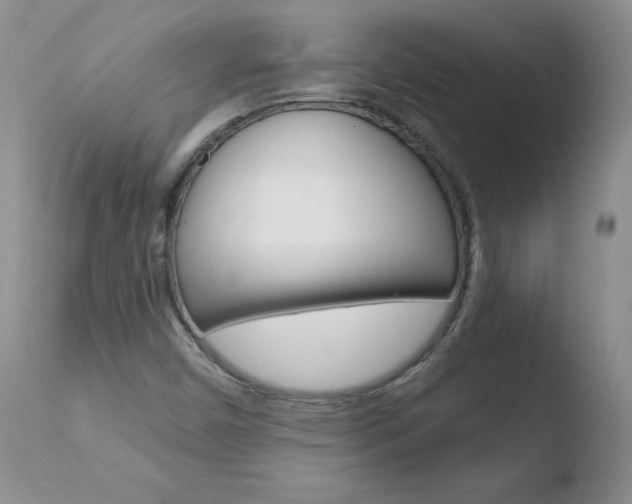 X0000110771450200906150942