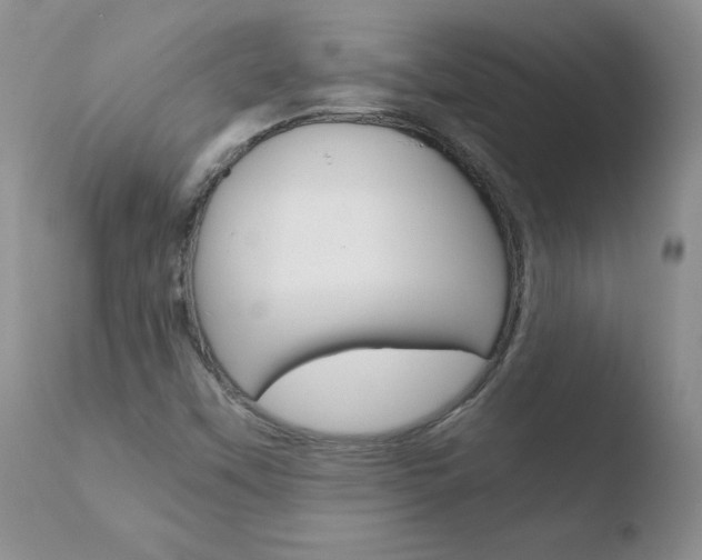 X0000110771451200906150942