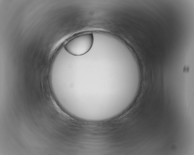 X0000110771452200906150942