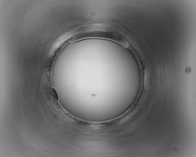 X0000110771453200906150942